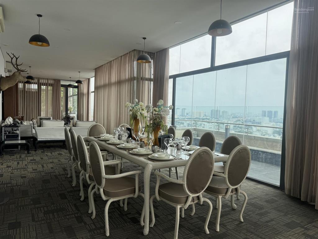 Siêu phẩm penthouse 1030m2 the everrich infinity q5 | view toàn cảnh sài gòn | giá chỉ 87 triệu/m2