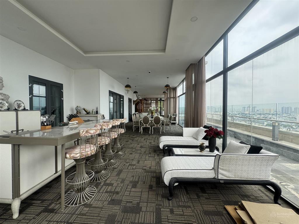 Siêu phẩm penthouse 1030m2 the everrich infinity q5 | view toàn cảnh sài gòn | giá chỉ 87 triệu/m2
