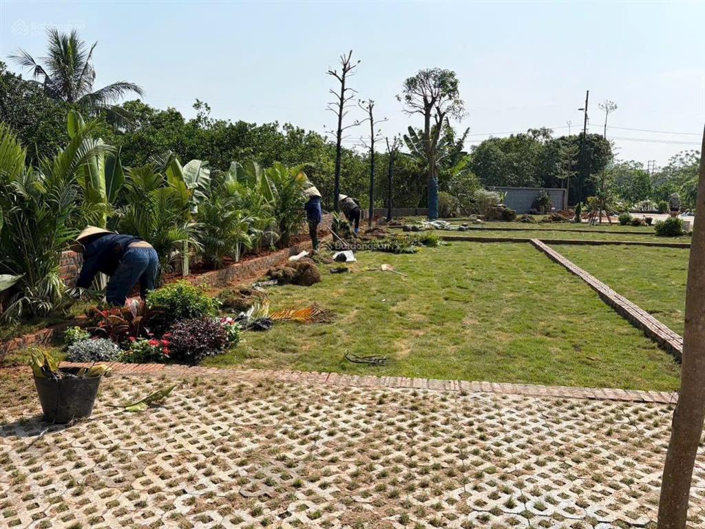 Chủ thanh khoản nên bán giá rẻ hơn thị trường, 1 tỷ, 50m2, giá cực chất, view đẹp