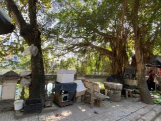 Gia đình cần bán đất có nhà c4, phố quang tiến, ô tô 16 chỗ vào nhà, 106m2, mặt tiền 6m, 16.5 tỷ