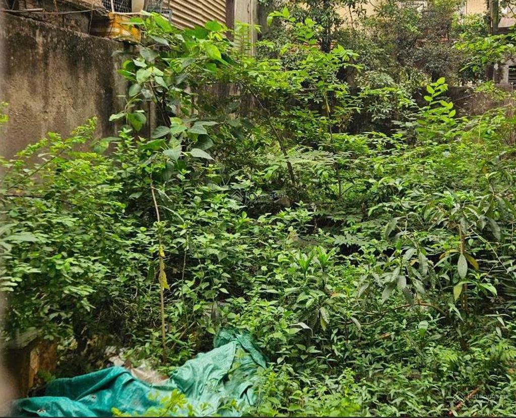 Bán đất phố đội cấn, ngõ rộng thông hoàng hoa thám, mặt tiền 5m, gần ô tô, sổ rất đẹp, ko qui hoạch