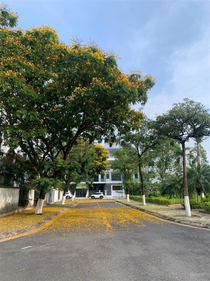Bán nhà phố liền kề, thiết kế 1 trệt 2 lầu. khu đô thị đông tăng long 160ha, view ngay công viên.