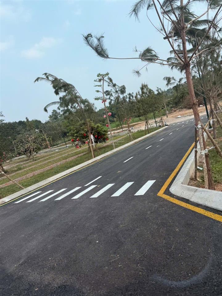 Chưa đến 2 tỷ nhận ngay lô đất phường tùng thiện 110m2 full thổ cư sẵn sổ tại sơn tây hà nội