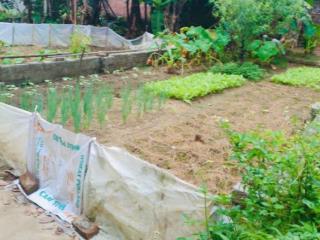 Bán đất tại đường 420, hạ bằng, hà nội, 1,8 tỷ, 78 m2, pháp lý đầy đủ