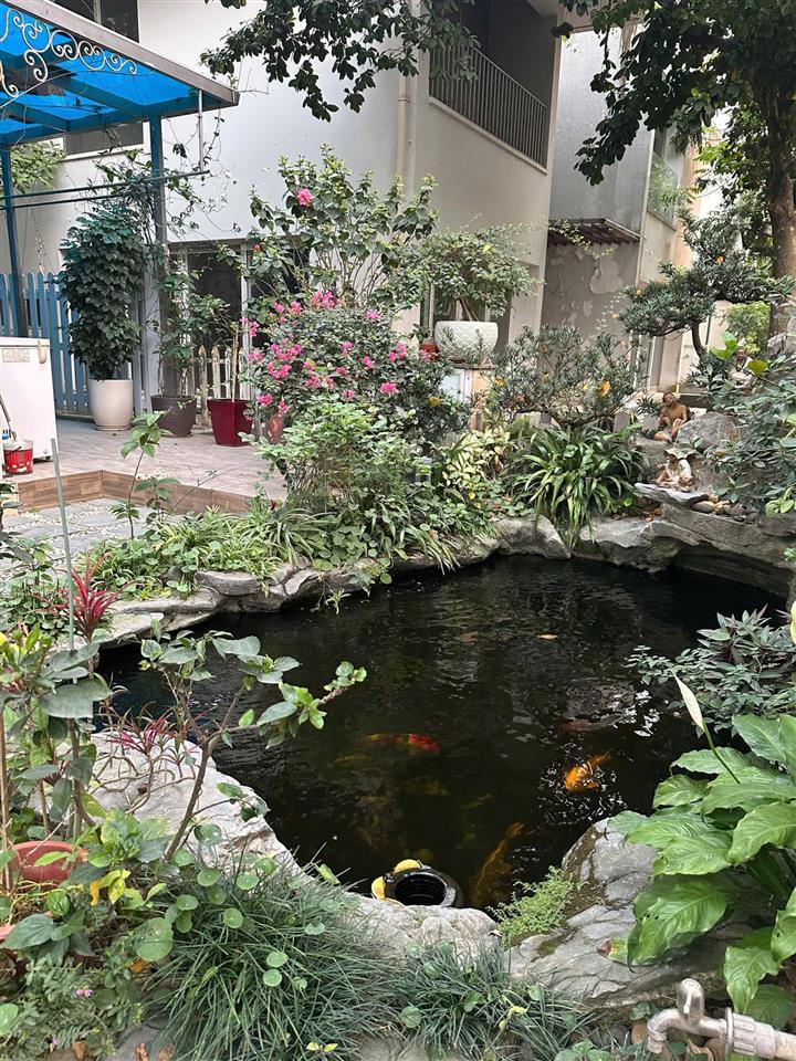Bán biệt thự vườn mai ecopark, 55 tỷ, 324m2, giá cực chất được cđt tặng thêm 45m2 duy nhất căn này
