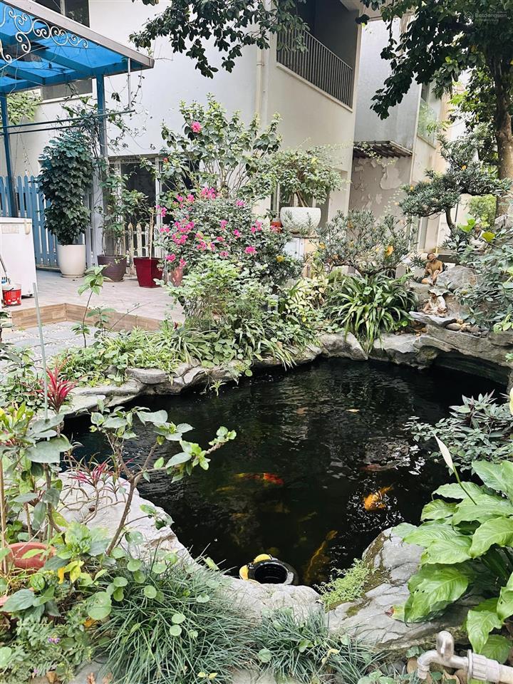 Bán gấp biệt thự đơn lập vườn mai ecopark 324m2, mặt tiền 18m