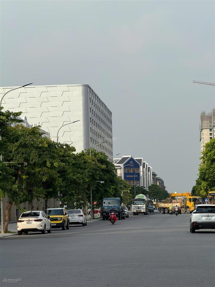Bán sao biển xẻ khe giá đang thấp nhất thị trường, khách chậm tay là mất!
