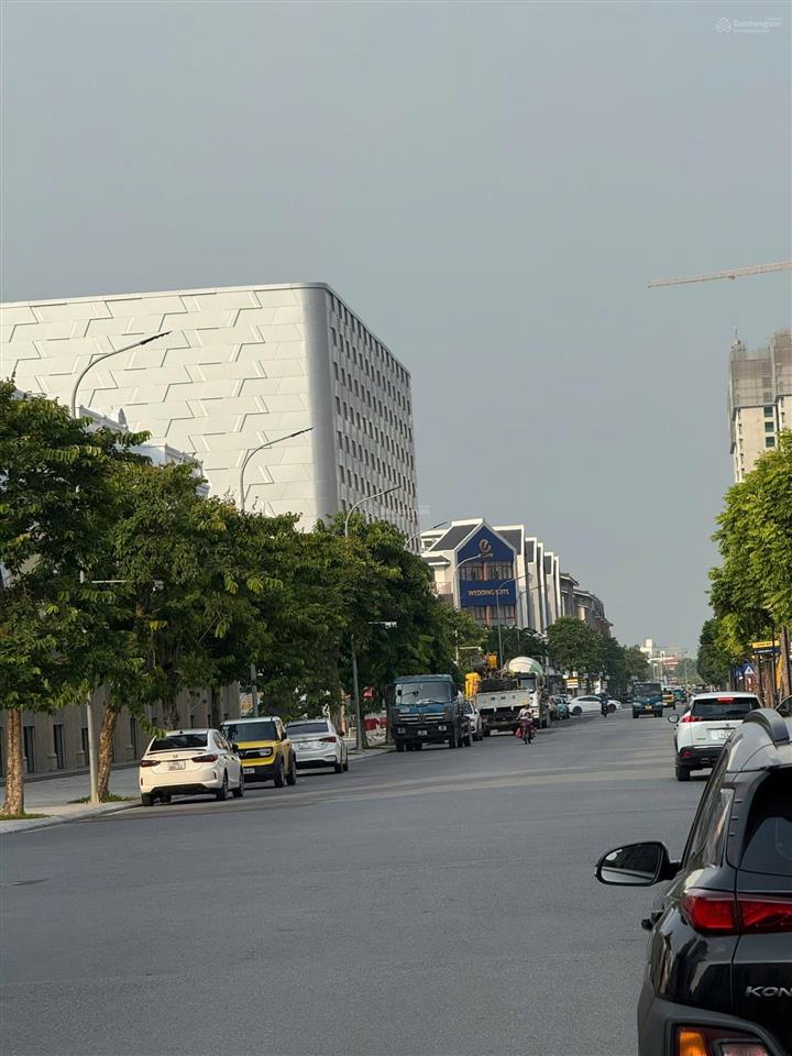 Bán sao biển xẻ khe giá đang thấp nhất thị trường, khách chậm tay là mất!