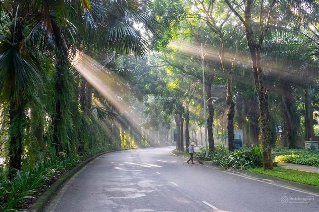 Bán biệt thự song lập vườn mai ecopark hưng yên 190m2 29,5 tỷ
