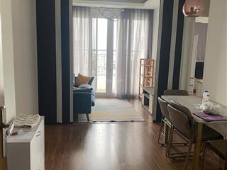 Cần bán căn hộ 1pn 1wc 50m2 the avila, 114 an dương vương p16 q8