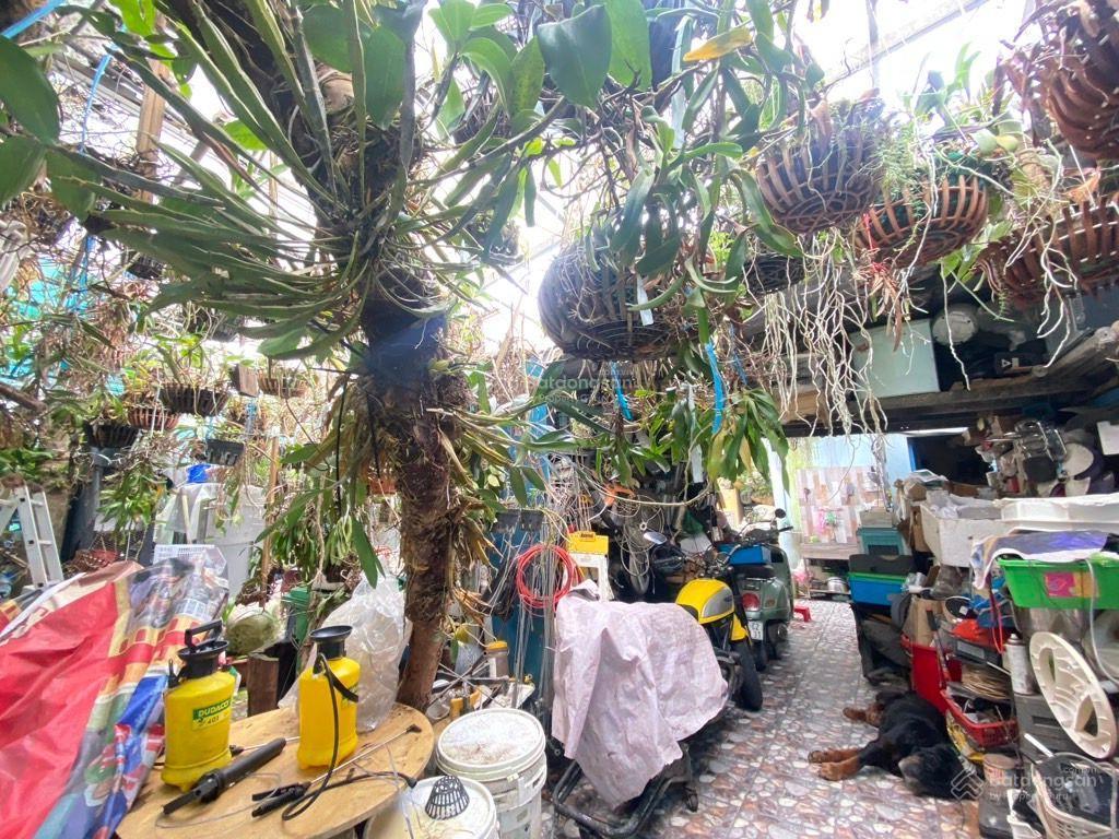 Chính chủ bán đất tặng nhàtặng vườn lan thích hợp xây chdvhiện hữu khu qhkdc an ninh lịch sự