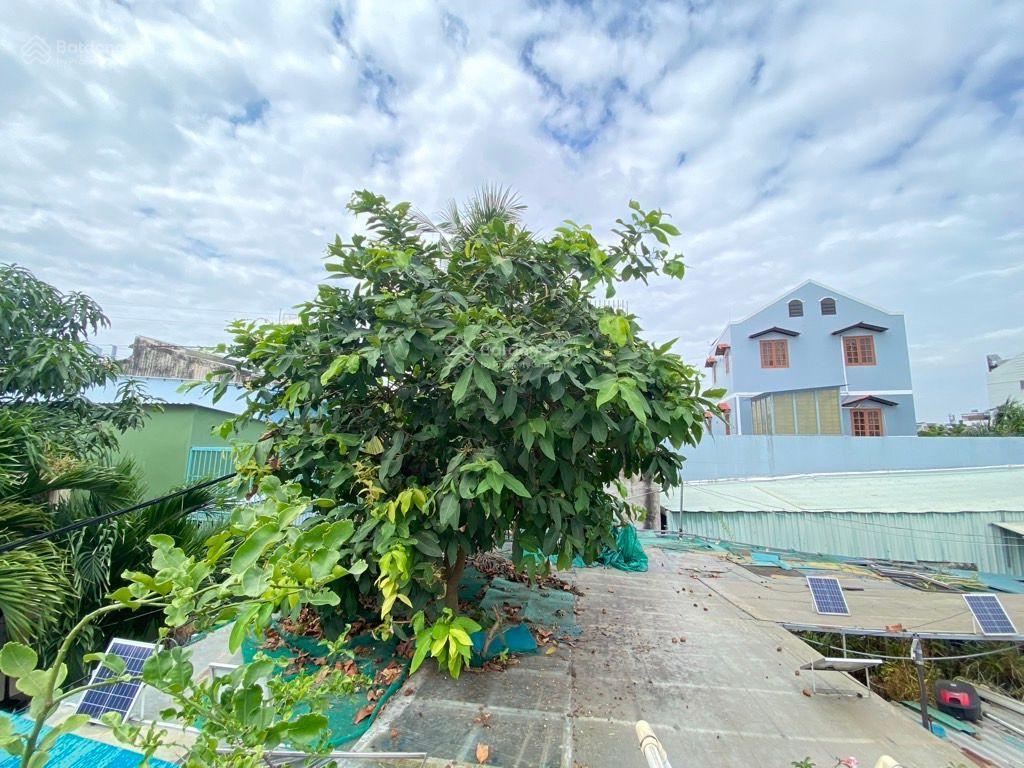 Chính chủ bán đất tặng nhàtặng vườn lan thích hợp xây chdvhiện hữu khu qhkdc an ninh lịch sự