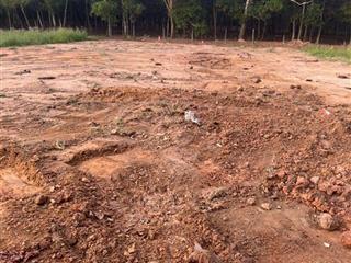 Bán đất ngay chợ tự phát, chánh phú hoà