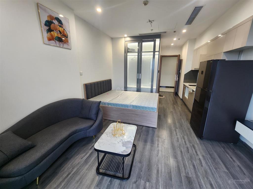 Cho thuê can studio the zenpark chỉ 6,5 triệu vnd, view đẹp