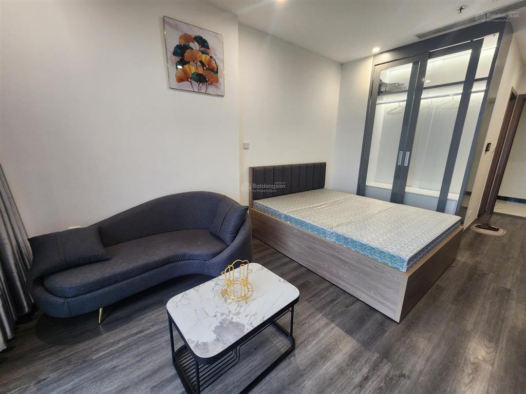 Cho thuê can studio the zenpark chỉ 6,5 triệu vnd, view đẹp