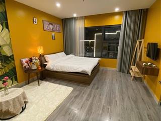 Cho thuê studio full đồ view sông 30m2 tại vinhomes ocean park, chỉ 6 triệu vnd