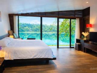 Chính chủ bán villa mặt hồ flamingo đại lải 140m1 ngủ full nội thất, gần bể bơi, giá 4,2 tỷ full