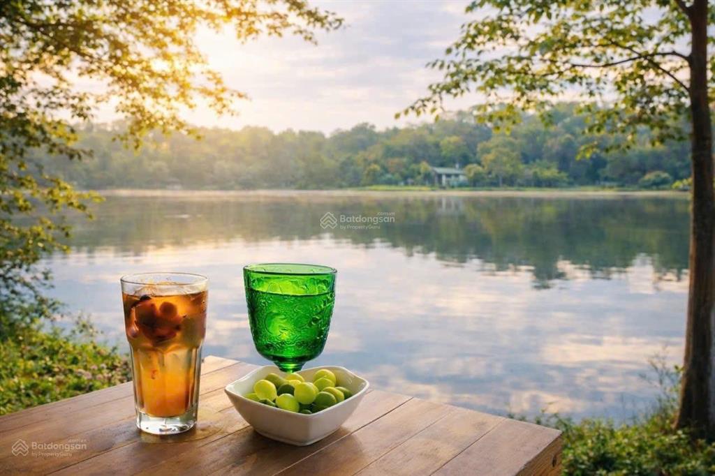 Chính chủ bán villa mặt hồ flamingo đại lải 140m1 ngủ full nội thất, gần bể bơi, giá 4,2 tỷ full