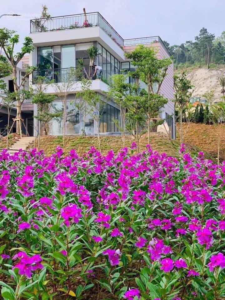 Bán gấp villa 10 tỷ, diện tích 180m2, có bể bơi riêng tại venus resort, sổ lâu dài, full nội thất