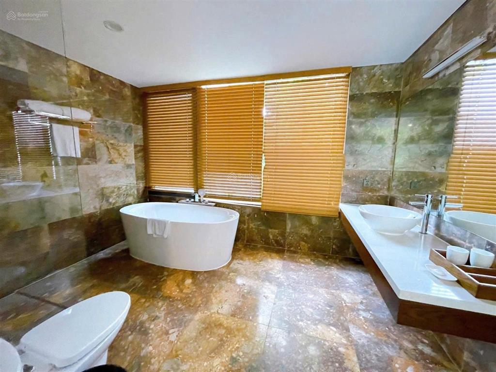 Biệt thự đơn lập 325m²  3 ngủ tại flamingo đại lải sổ lâu dài bể bơi riêng, giá dưới 15 tỷ