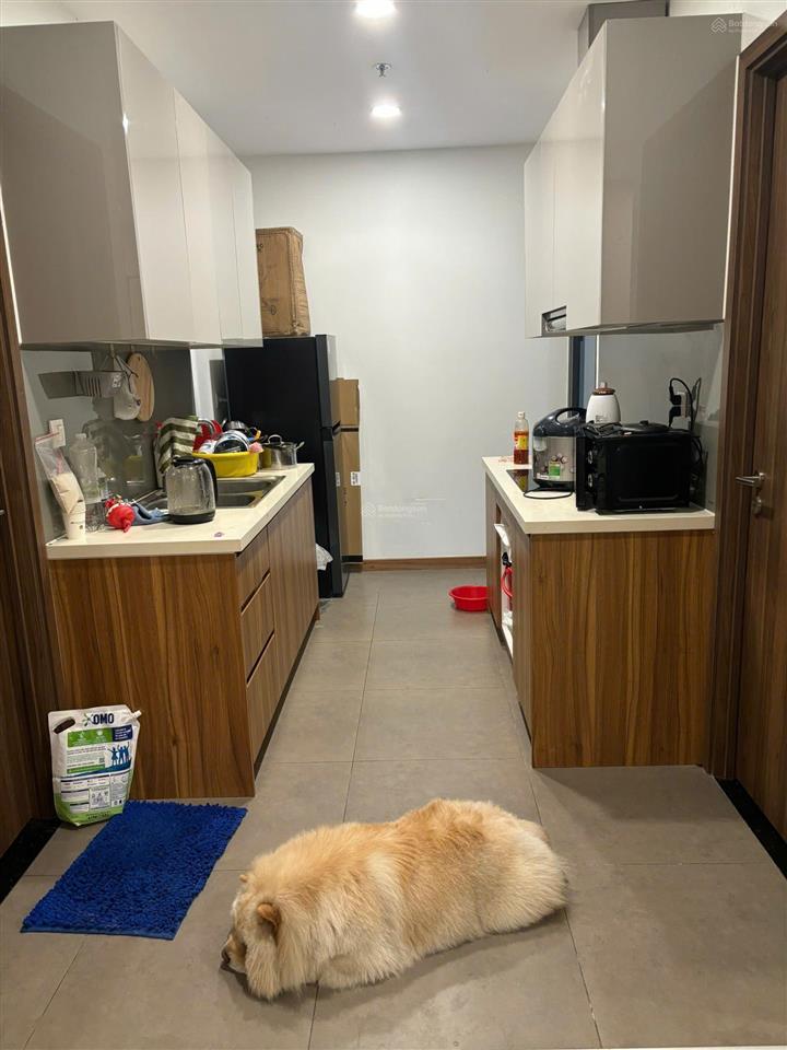 Bán gấp cc cao cấp eco green sài gòn quận 7 giá 6,3tỷ