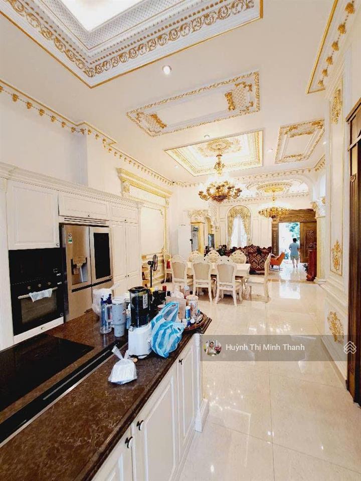 Biệt thự châu âu đẳng cấp  trung tâm p7 tân bình  396m2  thang máy hồ bơi sân vườn hơn 60 tỷ