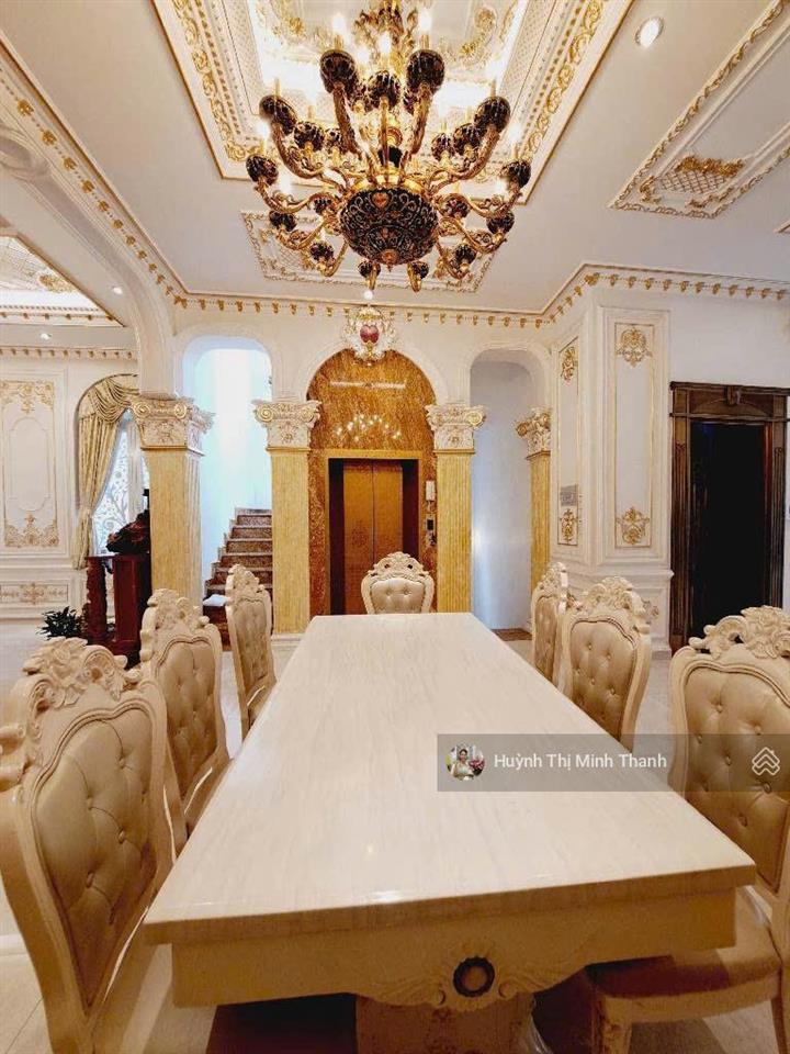 Biệt thự châu âu đẳng cấp  trung tâm p7 tân bình  396m2  thang máy hồ bơi sân vườn hơn 60 tỷ