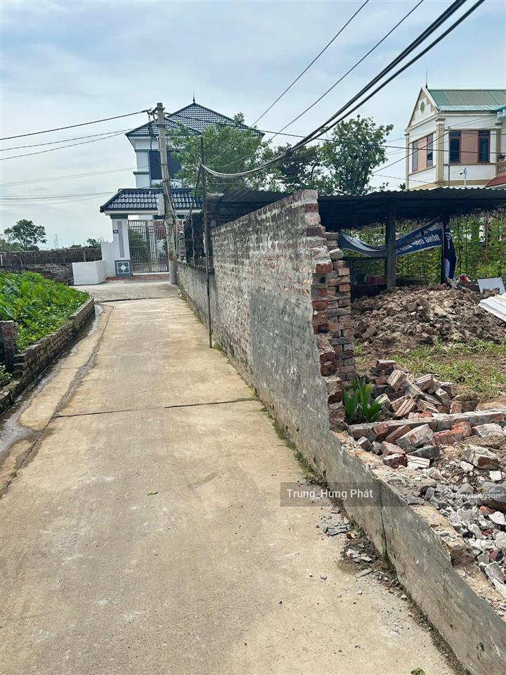 Cần tiền bán đất thư phú, thường tín, 100m, ô tô vào, gần dự án vingroup, vành đai 4, giá rẻ đầu tư