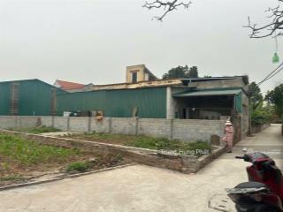 Bán đất xã tự nhiên, thường tín, 100m2 ngõ ô tô, cách trục chính ô tô tải tránh chỉ 30m, hơn 3 tỷ