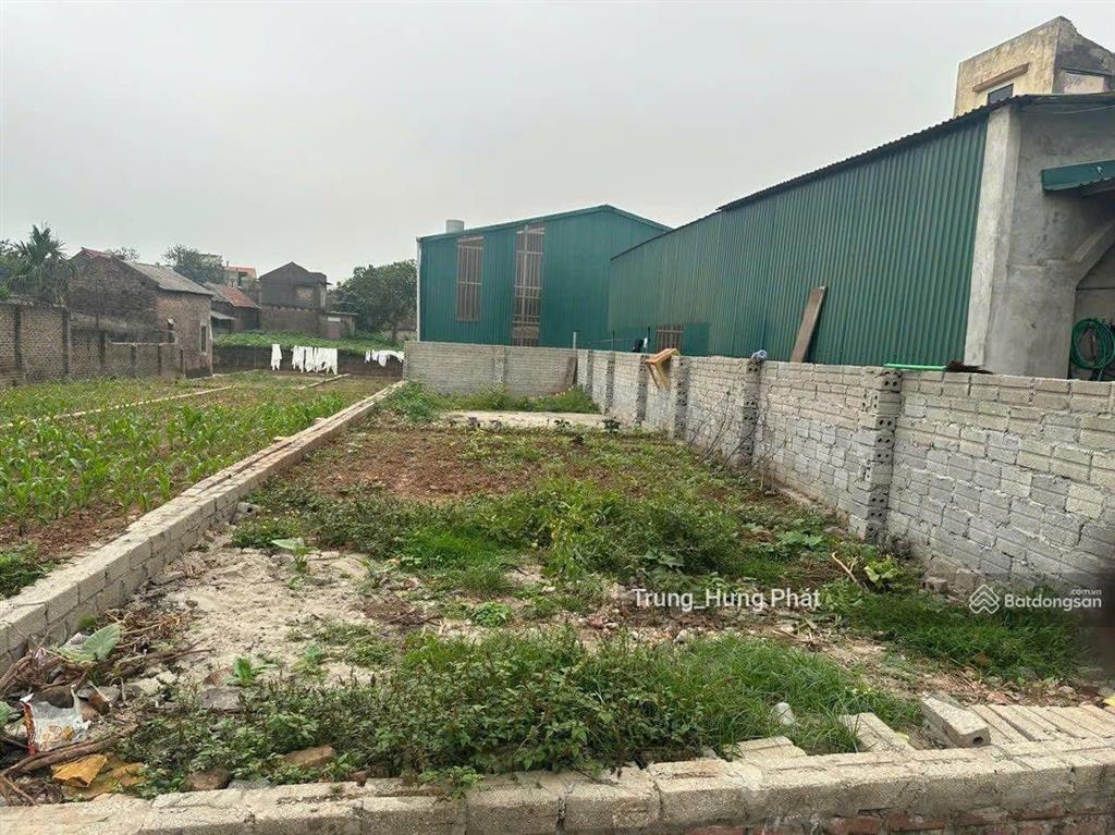 Bán đất xã tự nhiên, thường tín, 100m2 ngõ ô tô, cách trục chính ô tô tải tránh chỉ 30m, hơn 3 tỷ