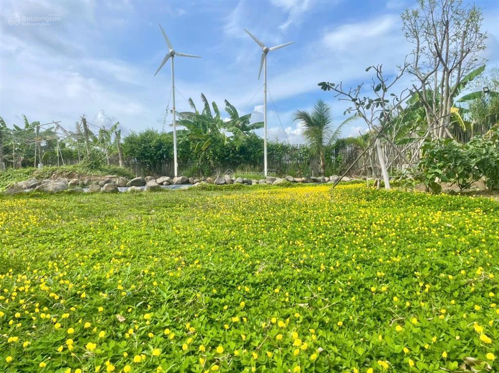 Chuyển nhượng khu nghỉ dưỡng đang kinh doanh 2087m2 sẵn homestay ngay tại xã nghĩa thành  tp. hcm