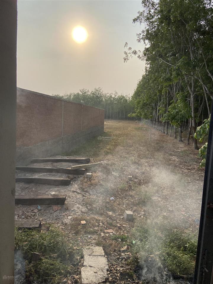 Bán nhà sân vườn nghỉ dưỡng tại đ. cây me, 9,2 tỷ, 5pn, 6wc. diện tích đất 4000m2