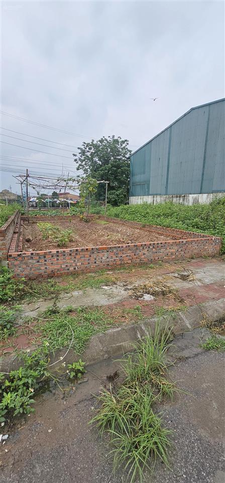 Hiếm có khó tìm đất dịch vụ trạm trôi, phân lô vỉa hè. 50m chỉ 7 tỷ