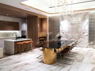 Sở hữu penhouse duplex đẹp nhất long biên, view sông hồng, diện tích 212m2, giá chỉ 19.2 tỷ