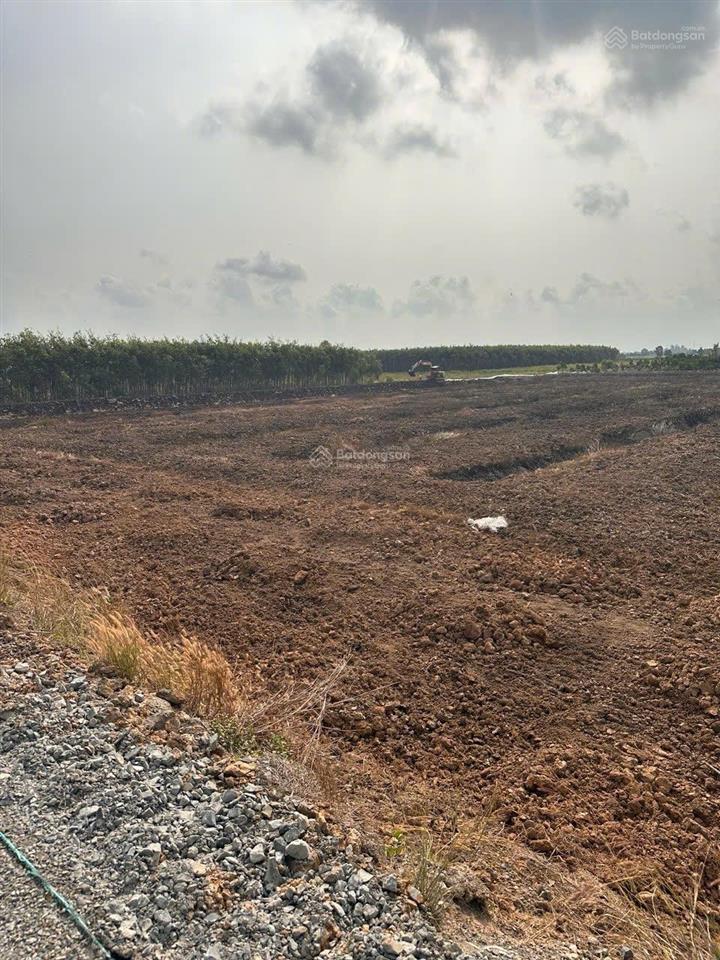 Cần bán đất 9.167m tại xã thuận bình, huyện thạnh hoá, tỉnh long an.