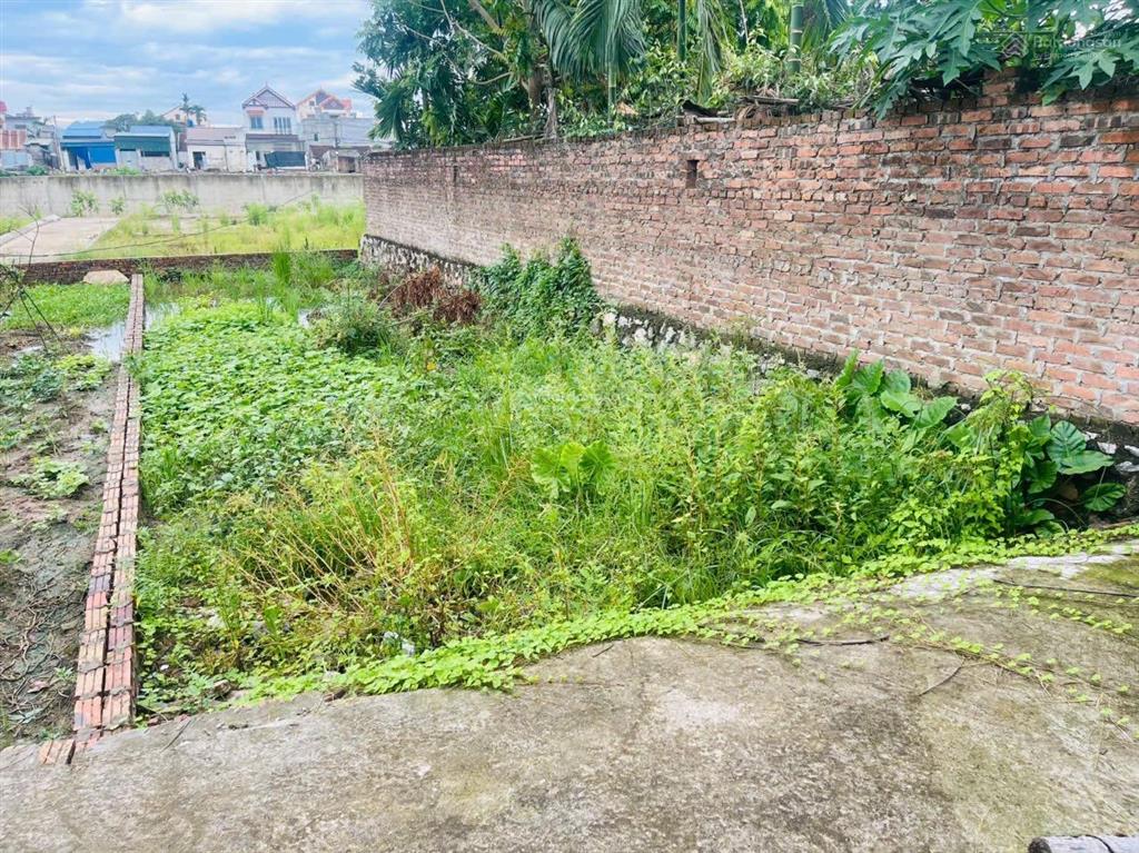 Bán 83m2 thổ cư  sổ đỏ hà nội gần sông thoáng mát  giá rẻ đầu tư xây nhà đều ổn