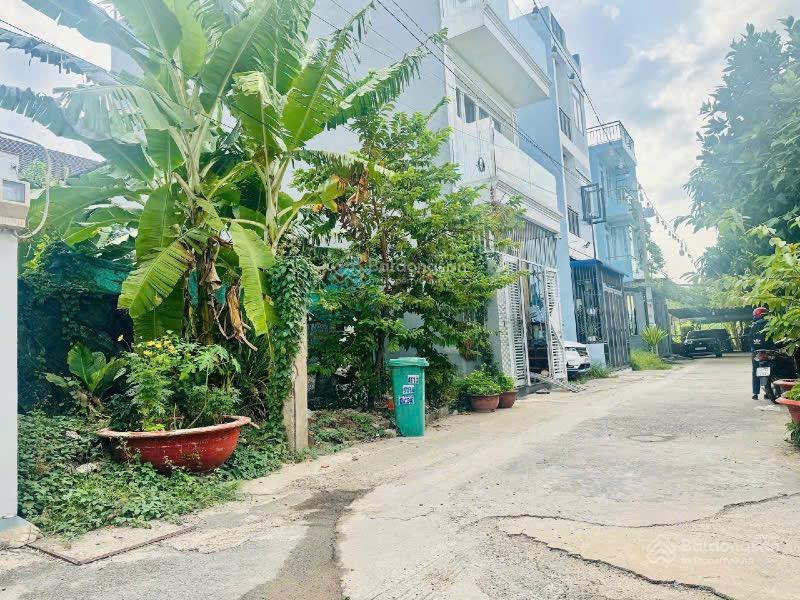Bán đất vườn lài, an phú đông, đối diện trường mầm non sơn ca 8, 4x15m giá 5.3 tỷ