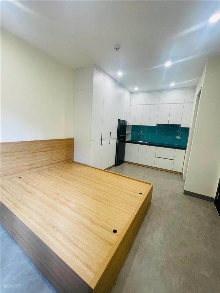 Căn hộ studio ngõ 20 mỹ đình  phú mỹ 4tr1  6tr