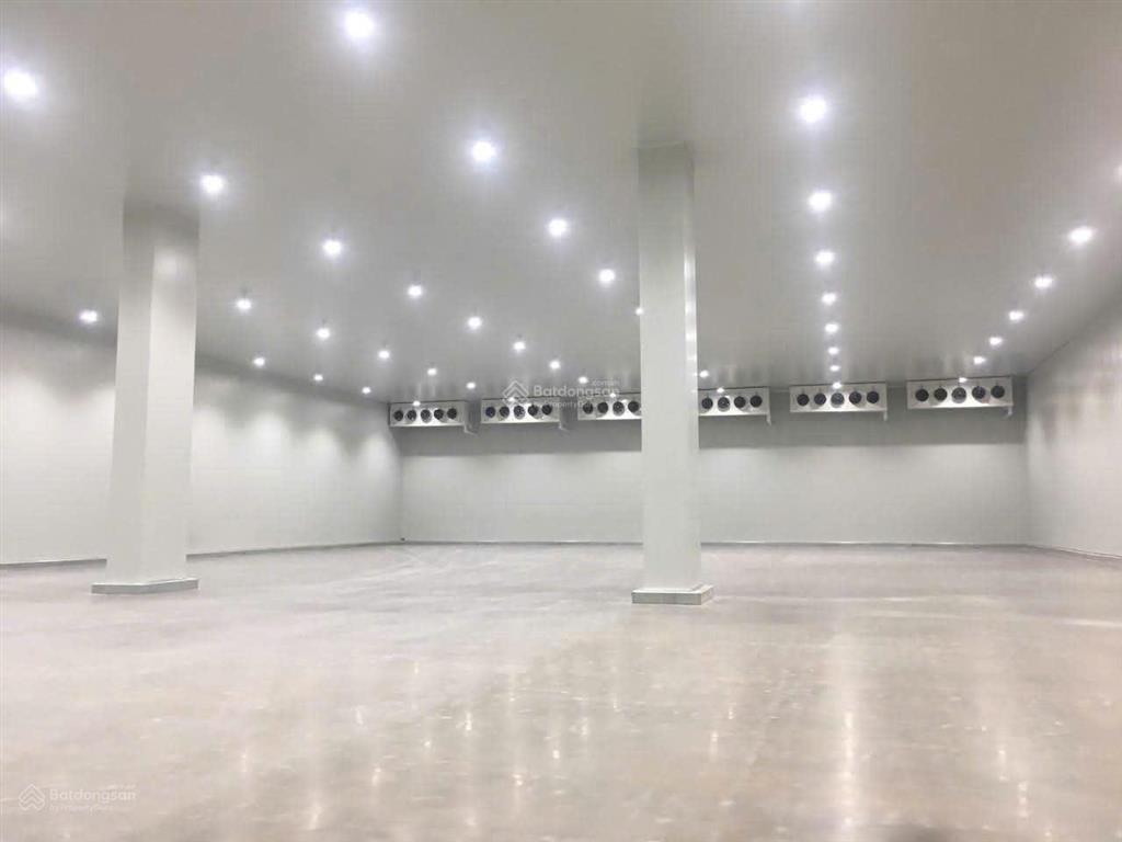 Cho thuê kho dịch vụ, kho lạnh tại hai bà trưng, long biên, diện tích linh hoạt