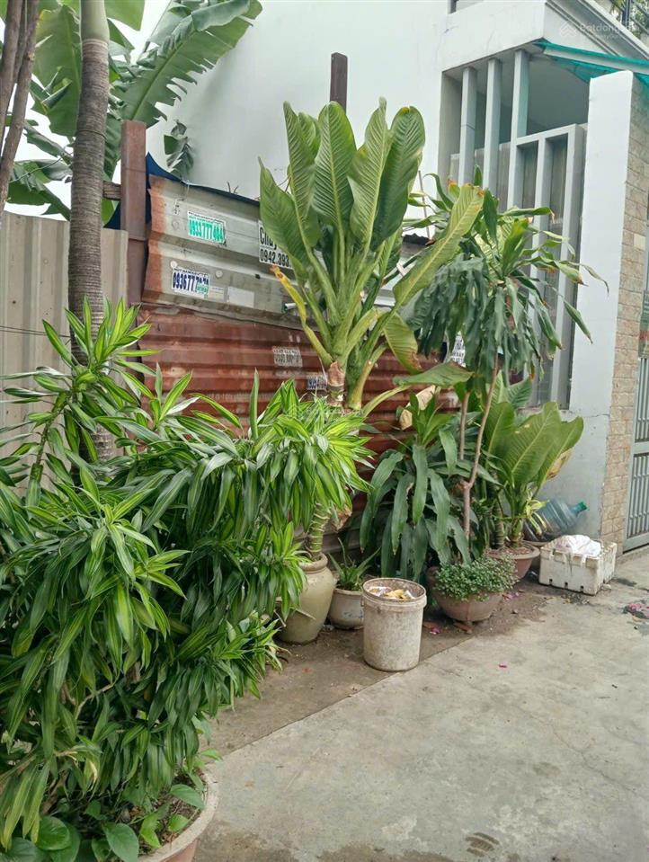 70 m2 đất full thổ cư gần cầu vượt gò mây diện tích 4.2 x 18m 70m giá chỉ 4 tỷ 2 thương lượn