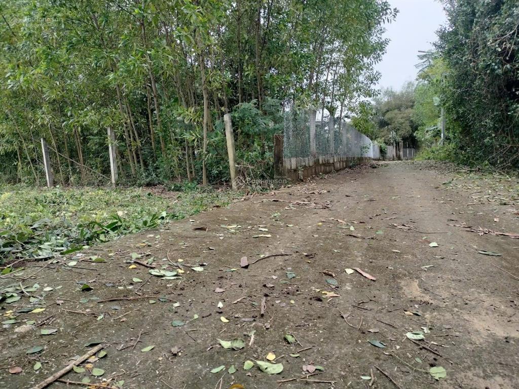 Chính chủ bán 161m2 đất hoà tiếnkdc hiện hữuphù hợp an cư/đầu tư cực rẻ giá 8,x tr/m2