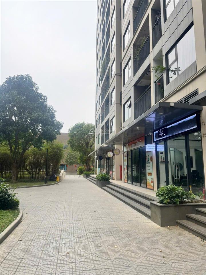 Cần bán trước tết chính chủ cần bán shop chân đế nội khu toà s101