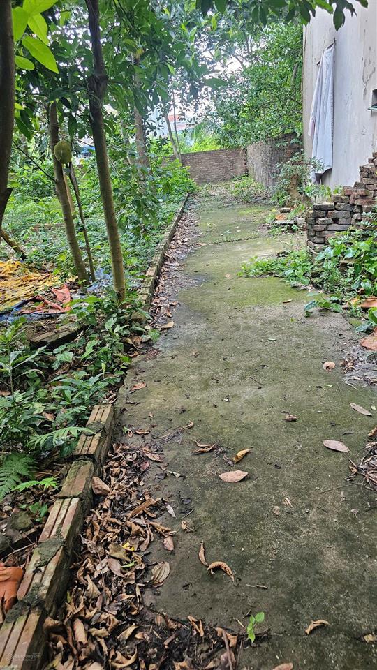 Chính chủ cần bán 1 lô thổ cư tại đồng mai, hà đông