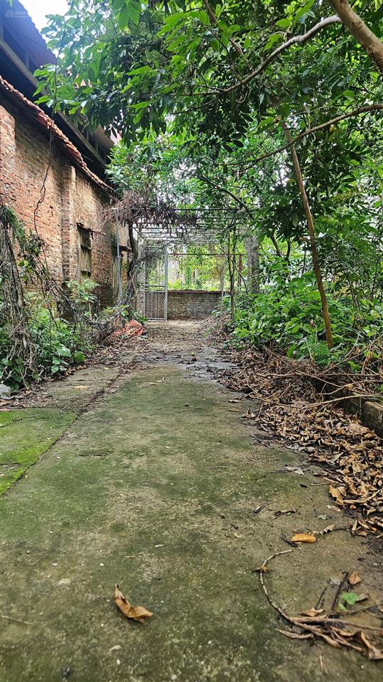 Chính chủ cần bán 1 lô thổ cư tại đồng mai, hà đông