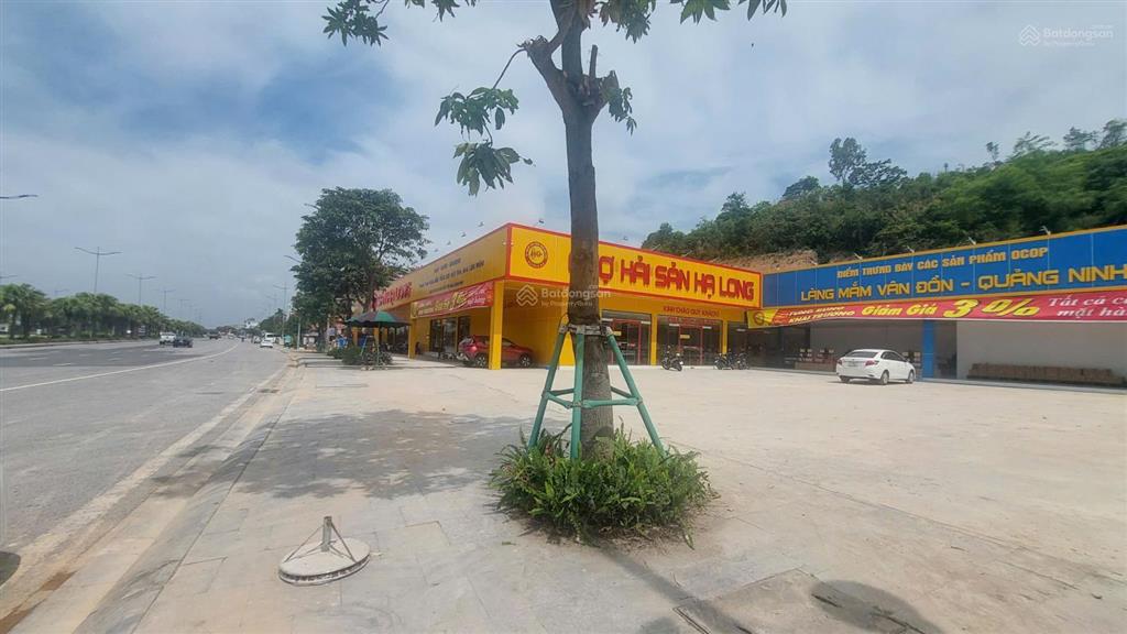 Bán đất mặt đường quốc lộ 18a đối diện vin hạ long xanh, giá 44tr/m2, diện tích 700m2