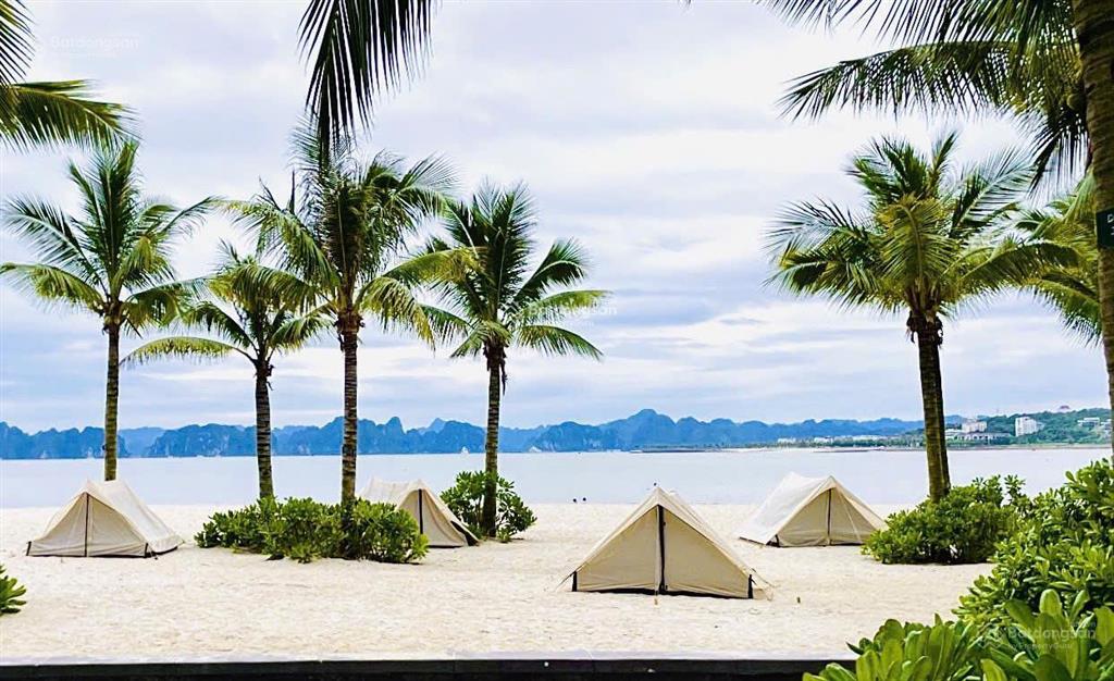 Cc bán căn a la carte hạ long chỉ việc vận hành cho thuê giá cực tốt 2,7 tỷ