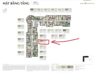 Bán căn hộ 1pn trục 15a tại hanoi seasons garden, 58,4m2, giá 8,312 tỷ