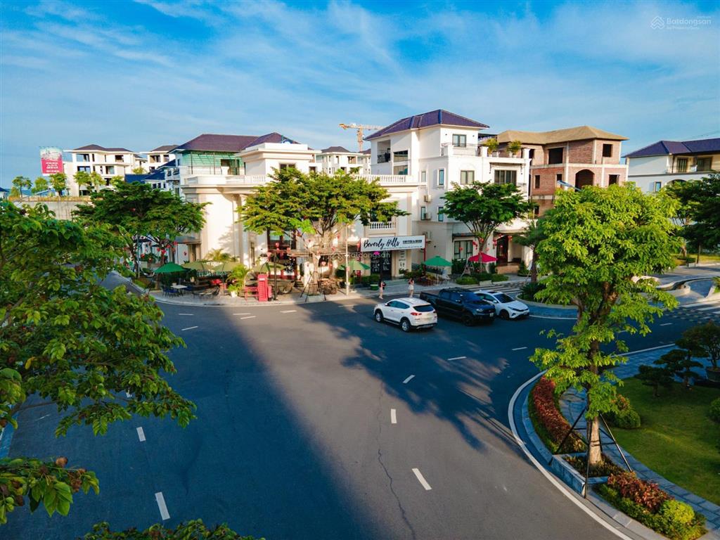Cần bán căn biệt thự song lập 250m2 tại dự án beverly hills