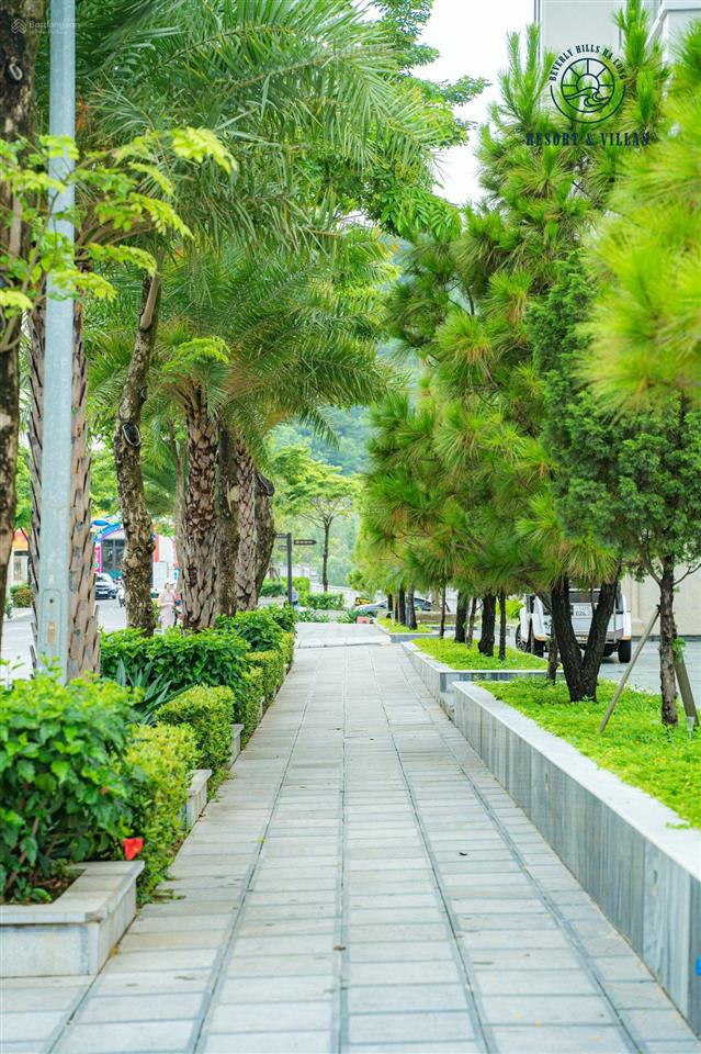 Cần bán căn biệt thự song lập 250m2 tại dự án beverly hills
