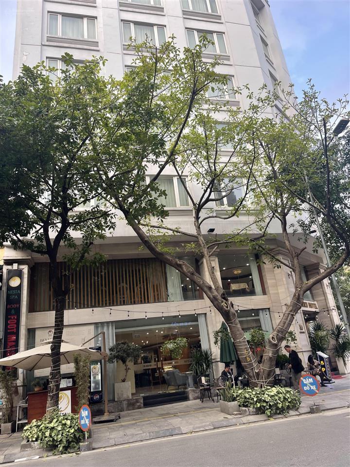 Bán gấp khách sạn vip ba đình, gần hồ trúc bạch, view hồ tây, mặt phố đặng dung 250m2 cho thuê 8 tỷ